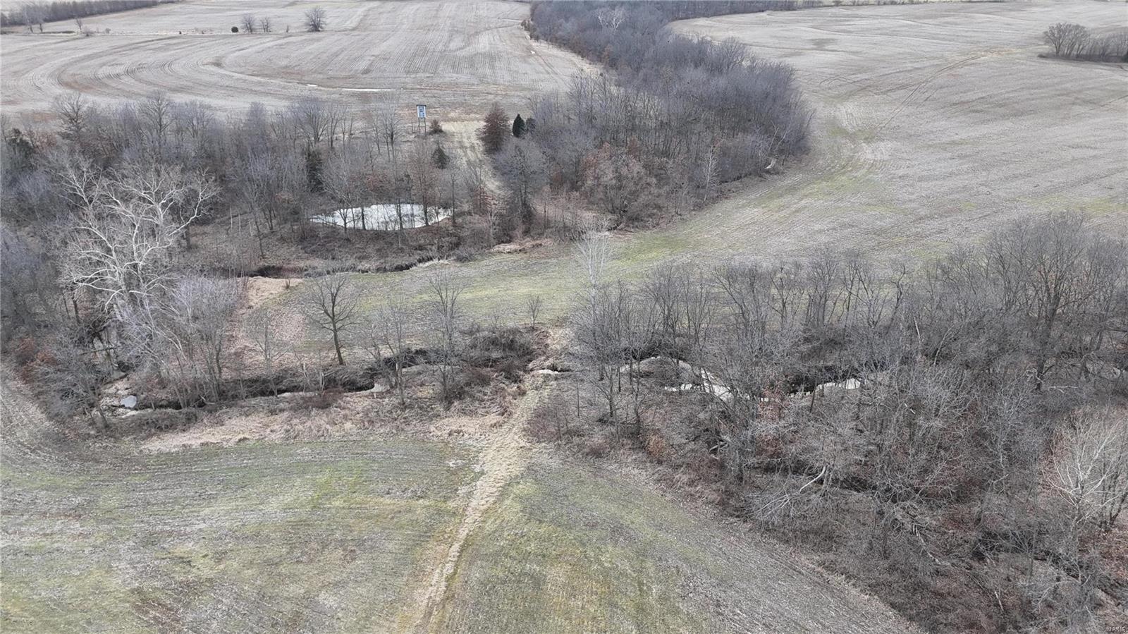 0 Pike 409 Bowling Green, MO 63334 - Photo 15 of 28