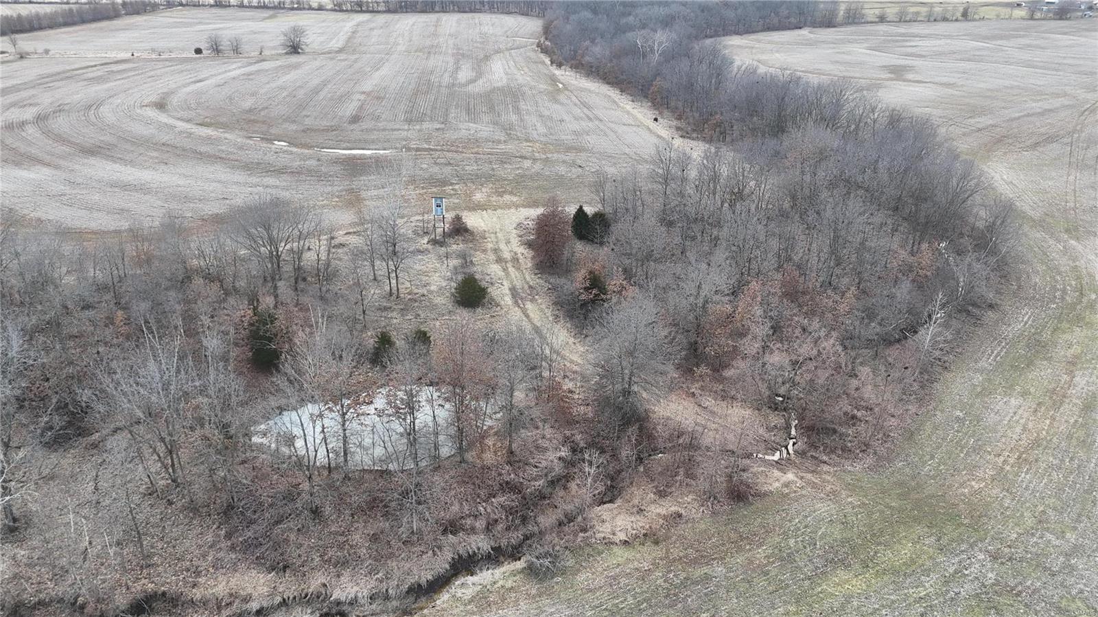 0 Pike 409 Bowling Green, MO 63334 - Photo 16 of 28