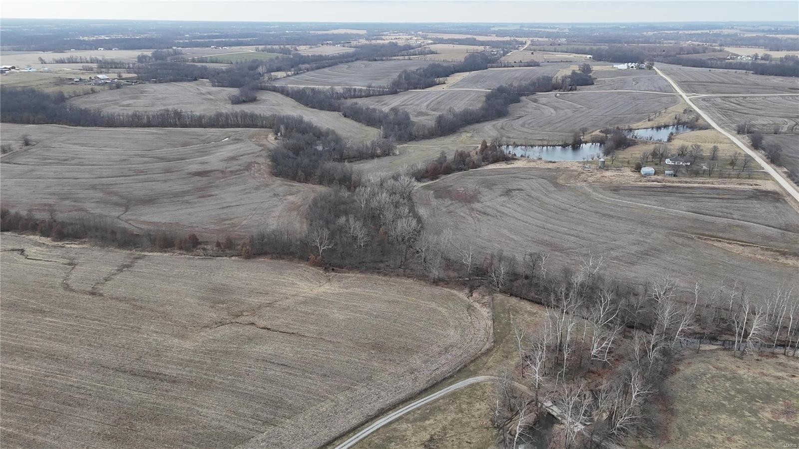 0 Pike 409 Bowling Green, MO 63334 - Photo 8 of 28