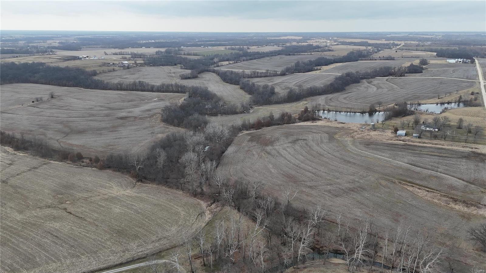 0 Pike 409 Bowling Green, MO 63334 - Photo 9 of 28