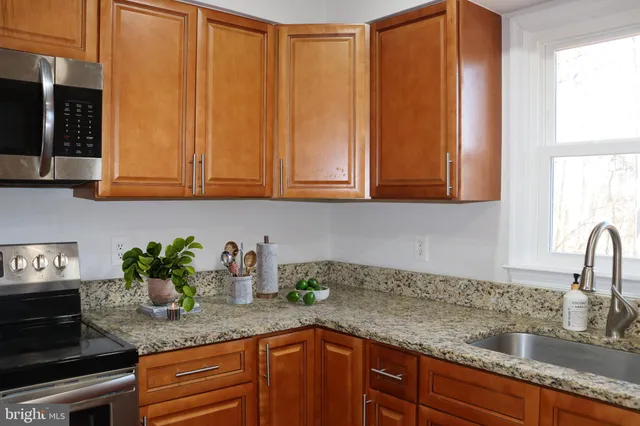 a living room with furniture a rug and a potted plant