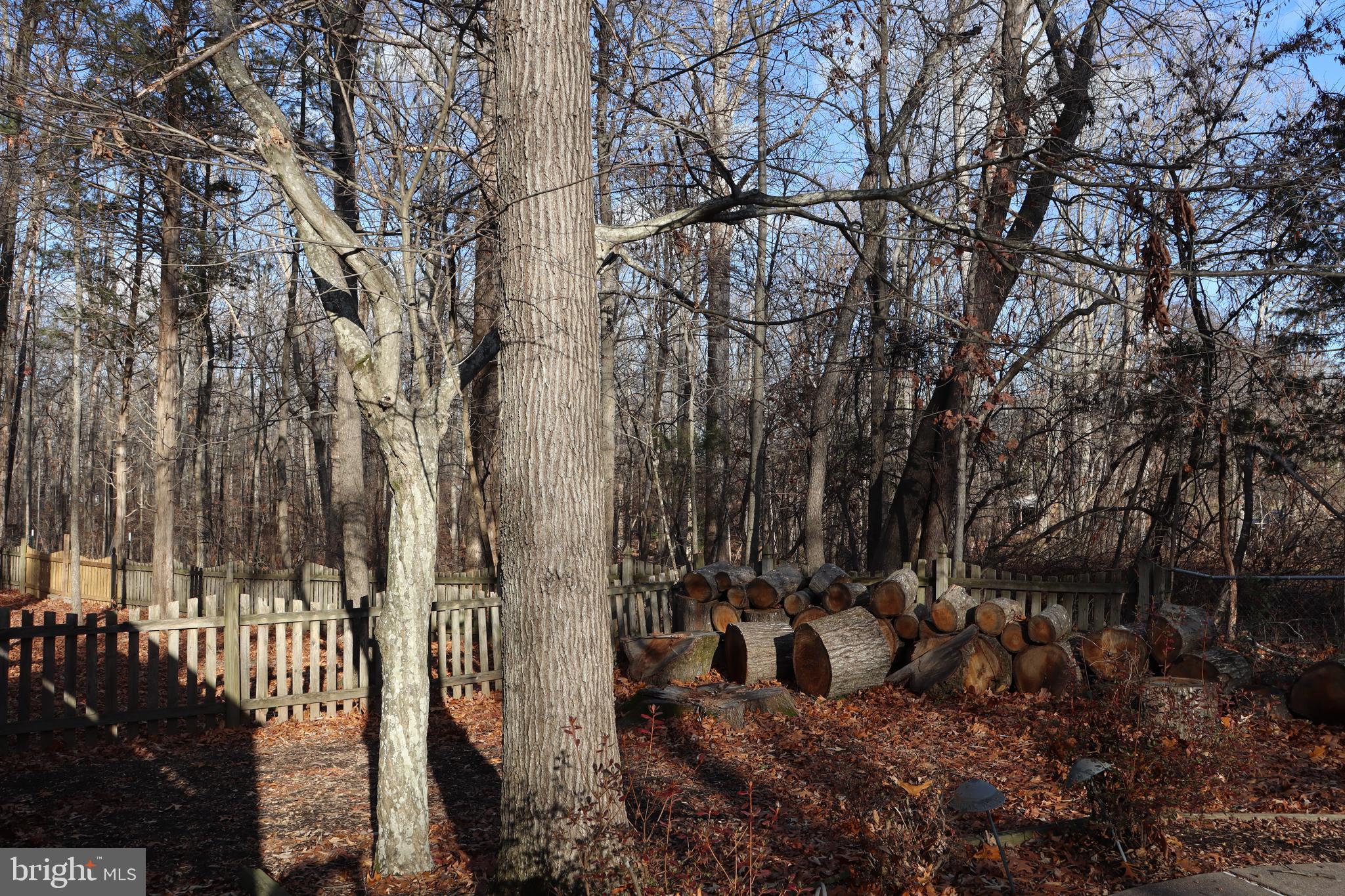 8918 Burwell Road Nokesville, VA 20181 - Photo 6 of 29 Fenced in side yard