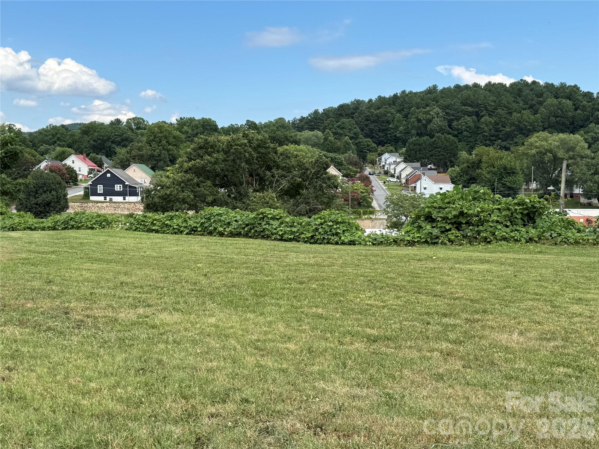 368 Morehead Road Marion, NC 28752 - Photo 4 of 5