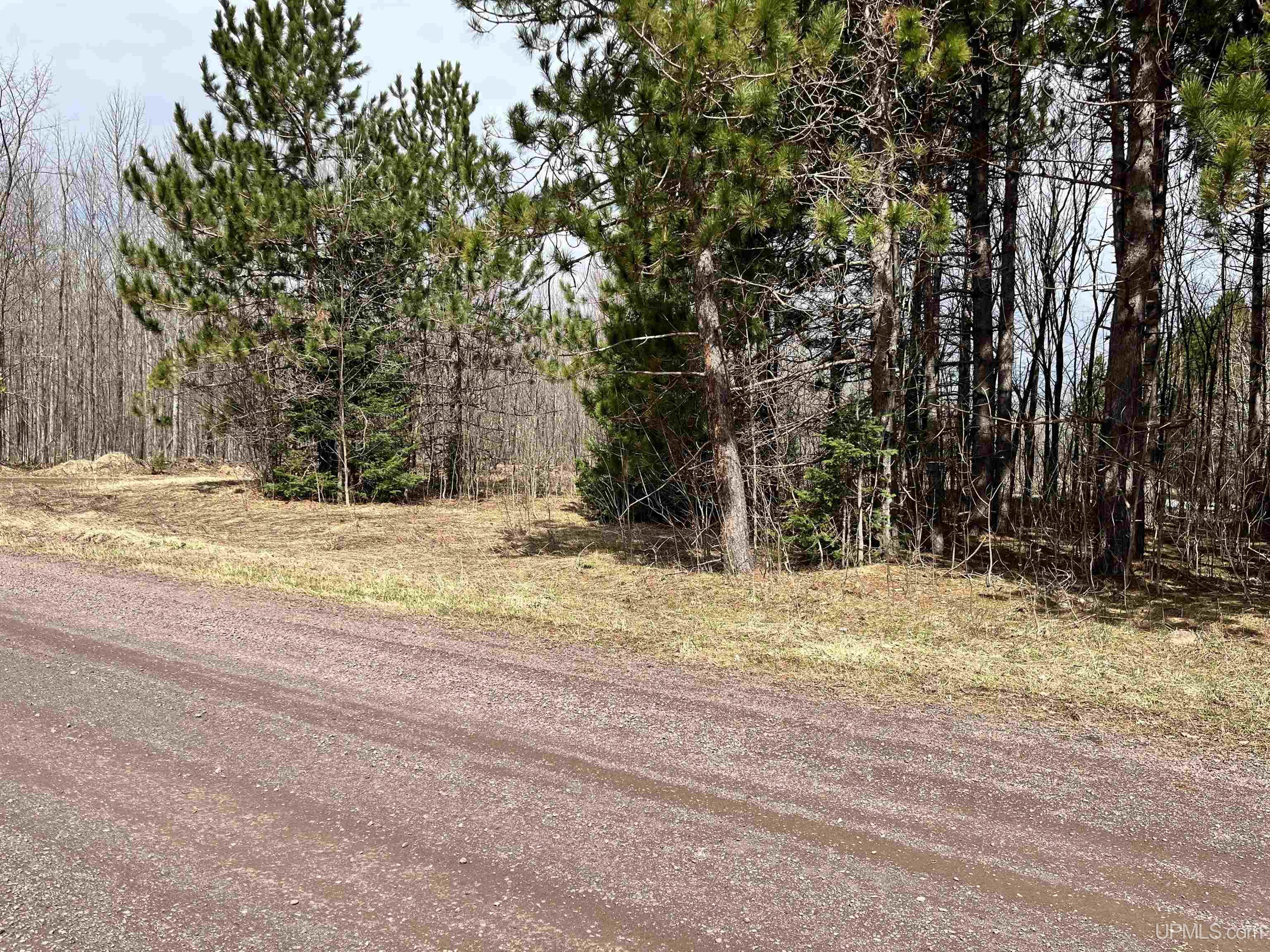 Tbd Tikka Road Ontonagon, MI 49953 - Photo 3 of 9