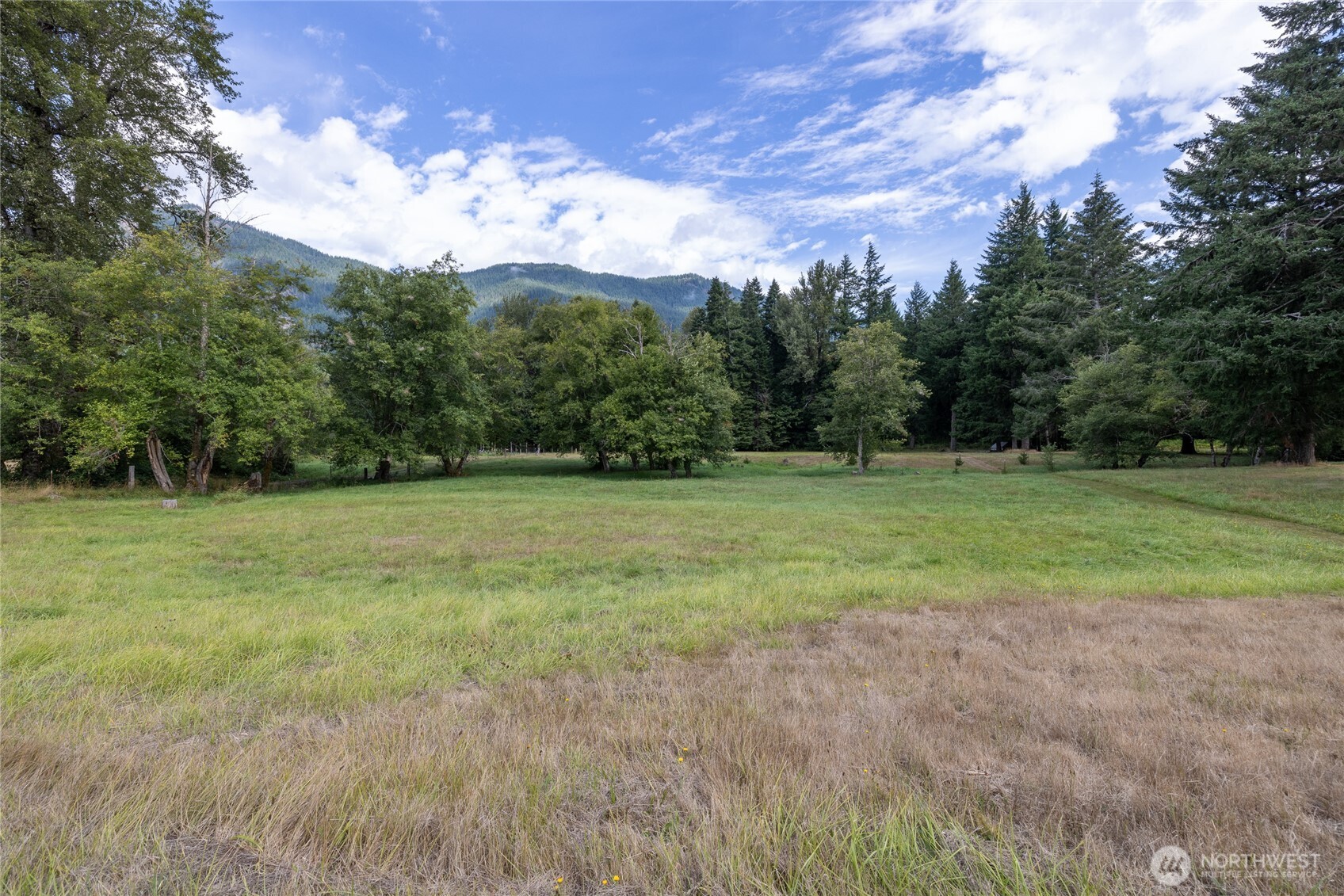 208 Stover Road Randle, WA 98377 - Photo 23 of 40 Gallery Image 23
