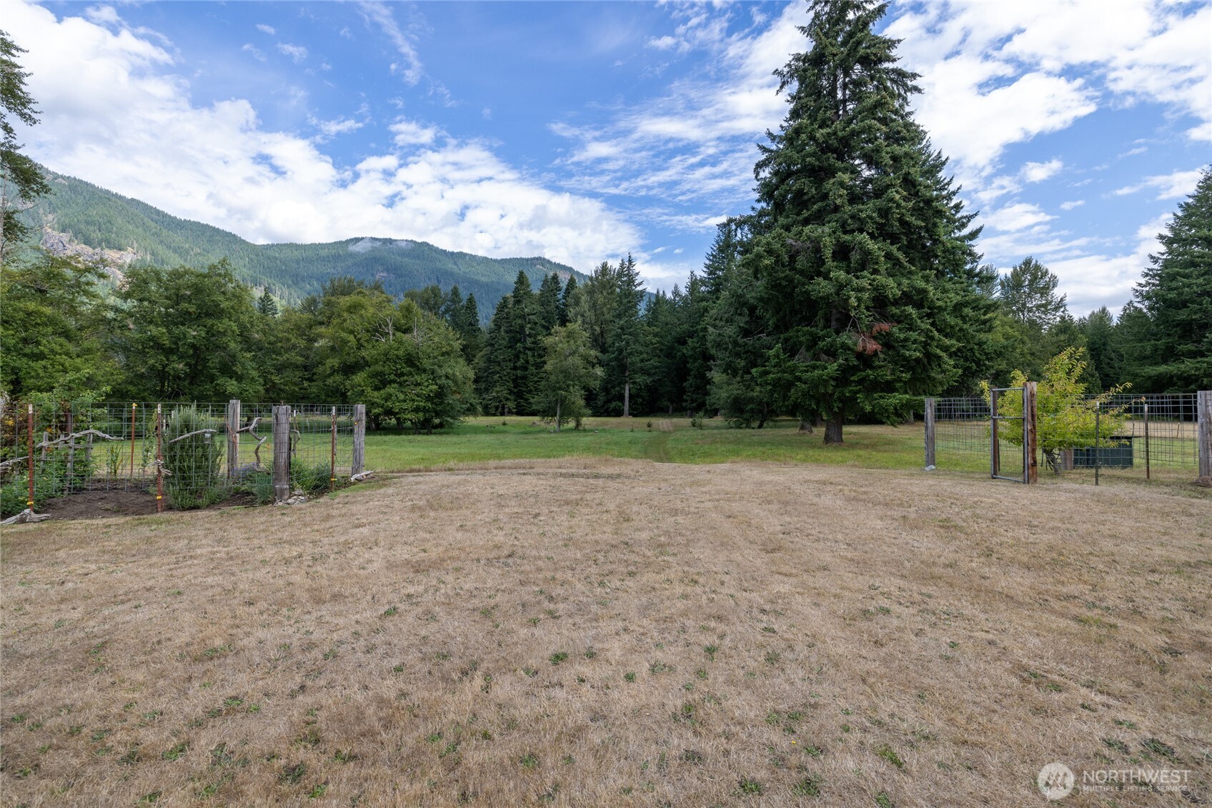 208 Stover Road Randle, WA 98377 - Photo 26 of 40 Gallery Image 26