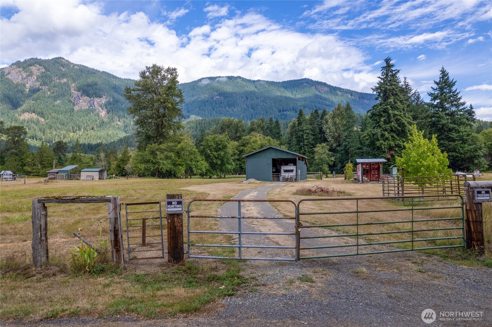 208 Stover Road Randle, WA 98377 - Photo 3 of 40 Gallery Image 3