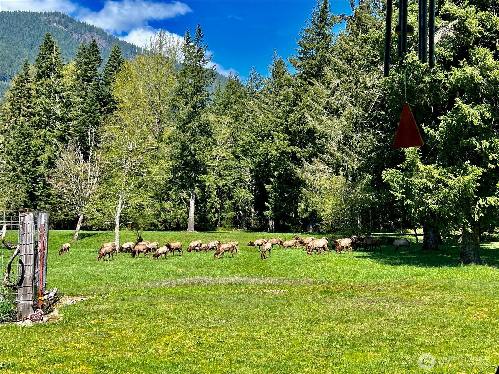 208 Stover Road Randle, WA 98377 - Photo 4 of 40 Gallery Image 4