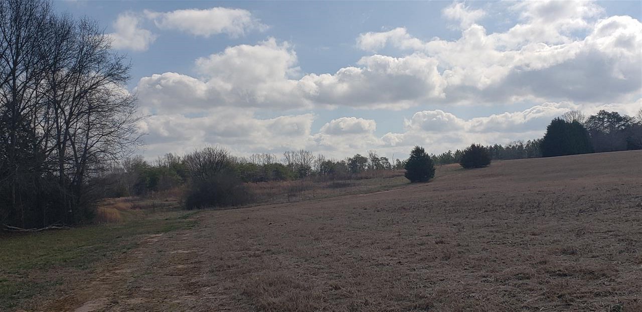 0 Johnny Lake Road Greer, SC 29651 - Photo 2 of 2