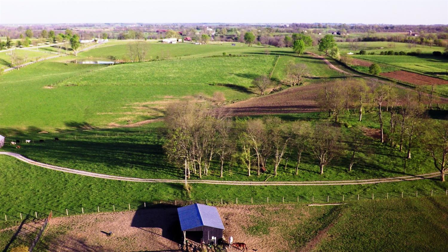 877 Blacks Cross Road Paris, KY 40361 - Photo 7 of 13 Photo 7