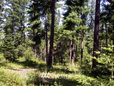3 Mohar Road Cle Elum, WA 98922 - Photo 1 of 1 Gallery Image 1