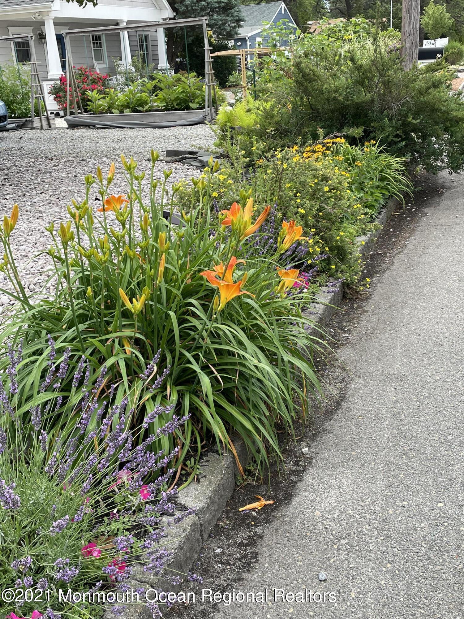 84 Club House Road Brick, NJ 08723 - Photo 5 of 28 a view of a garden with plants and flowers