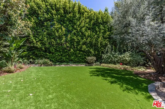 a view of a lush green space