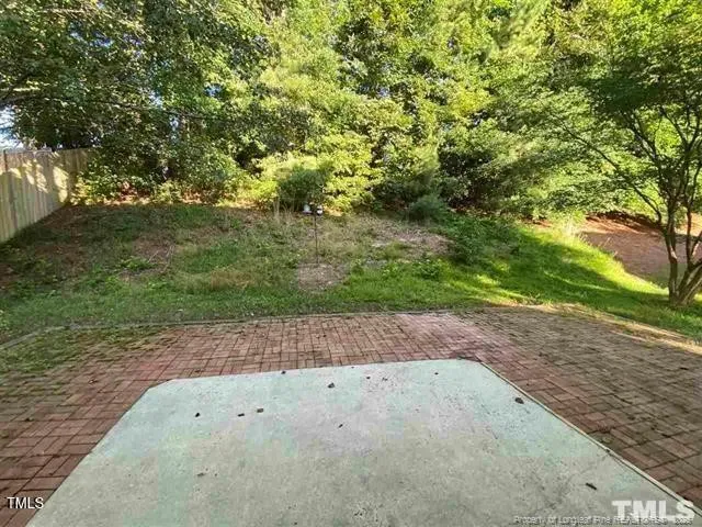 a view of a road with a tree