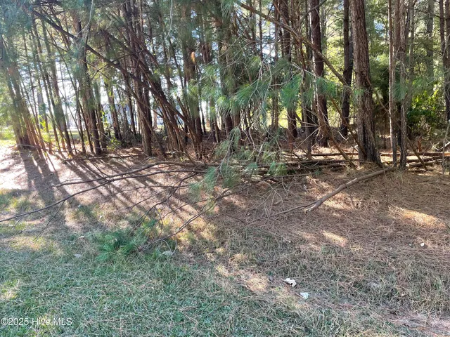$130,000 | Lot 10 Bethel Creek Lane, Hertford, NC 27944