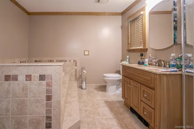 a bathroom with a sink a toilet and mirror