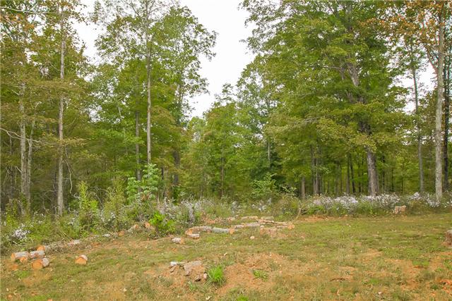 9972 Rocky Point Road Bon Aqua, TN 37025 - Photo 20 of 20 Beautiful view of acreage - great for wildlife watching, hunting, camping, etc.