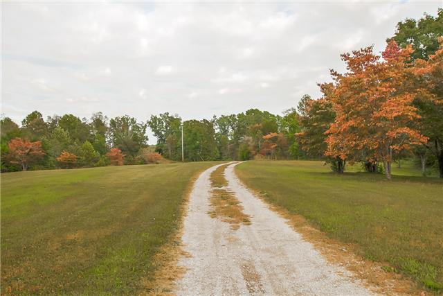Beautiful drive up to the house - Very Private!