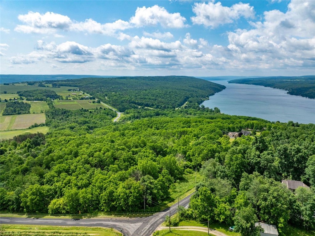 0 Esperanza Road Keuka Park, NY 14478 - Photo 6 of 17