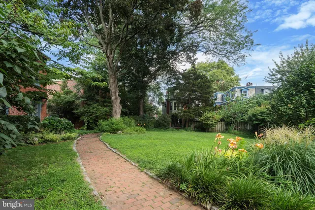 a view of a yard with plants and large trees