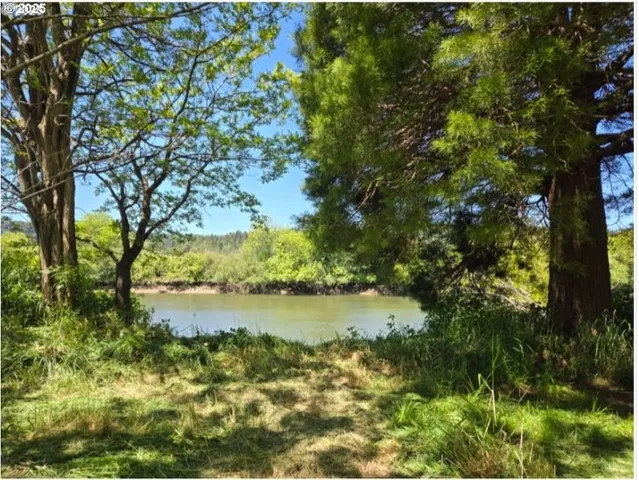 a view of a lake with a tree