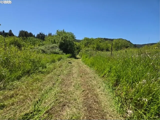 a view of a lush green field
