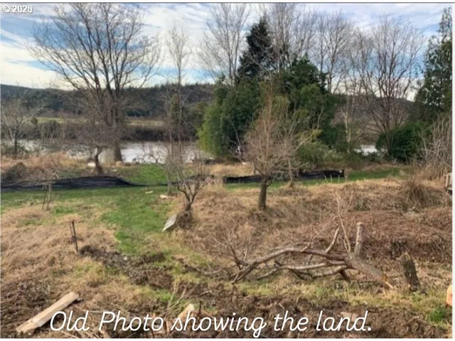 a view of a yard with wooden fence
