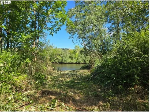 a view of a lake in a forest