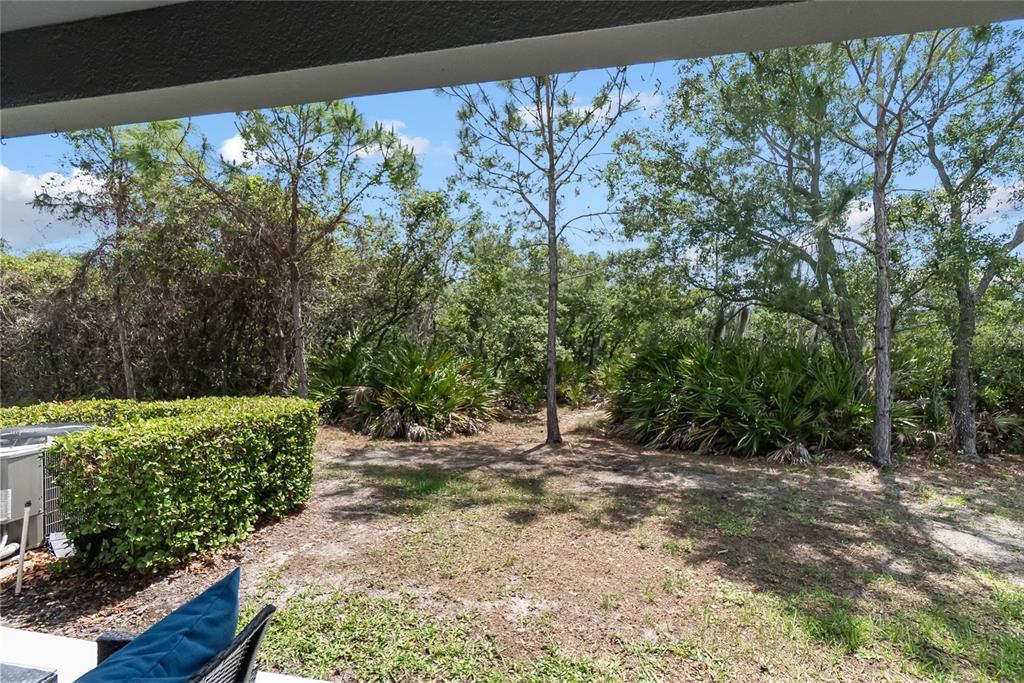 8990 Indigo Trail Loop Riverview, FL 33578 - Photo 38 of 43 a view of backyard with green space