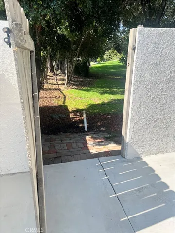 a view of a tree in a yard