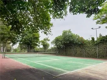 a view of a back yard