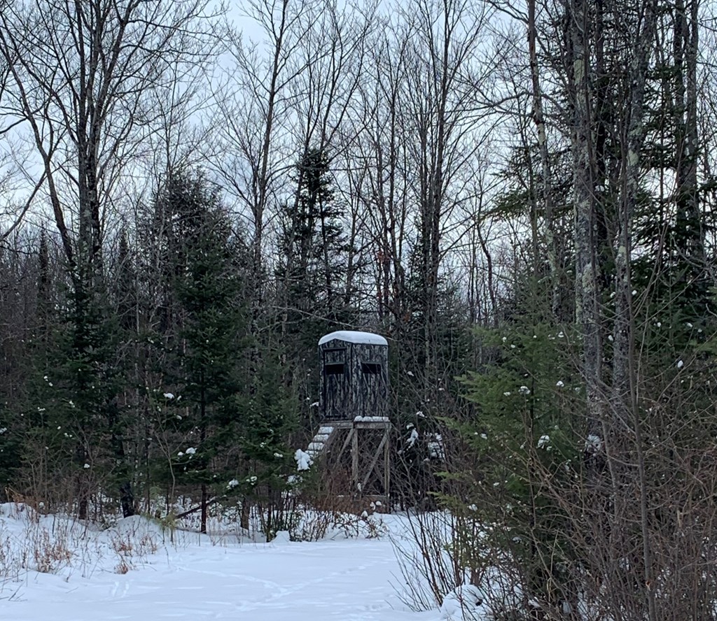 0 Other Butternut, WI 54514 - Photo 14 of 21