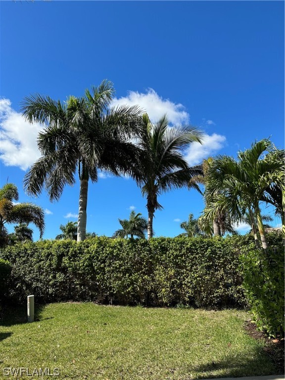 13581 Snapper Lane Naples, FL 34114 - Photo 14 of 34 a view of a yard