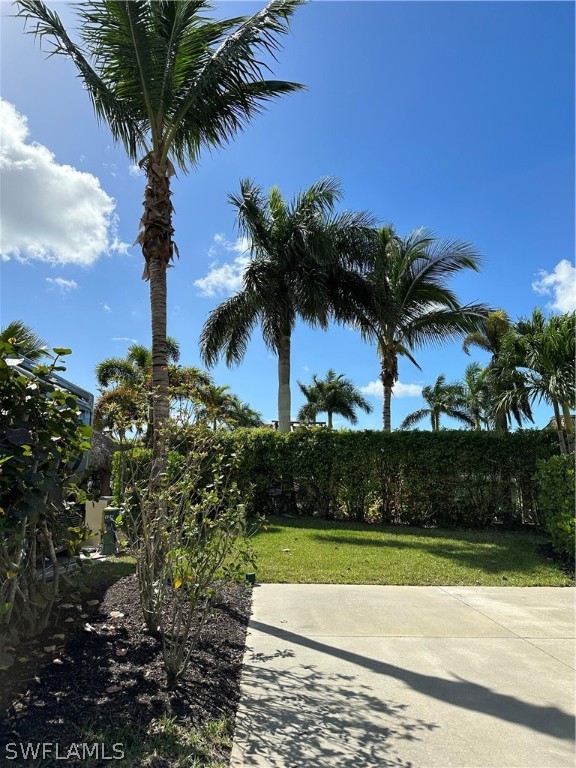 13581 Snapper Lane Naples, FL 34114 - Photo 33 of 34 a view of a yard and palm trees