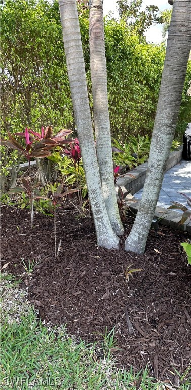 13581 Snapper Lane Naples, FL 34114 - Photo 34 of 34 a view of a garden with plants