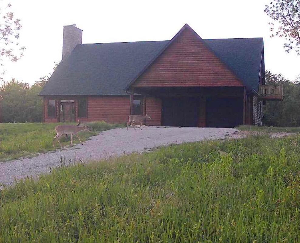 503 Airport Road Crane, MO 65633 - Photo 69 of 70 5646