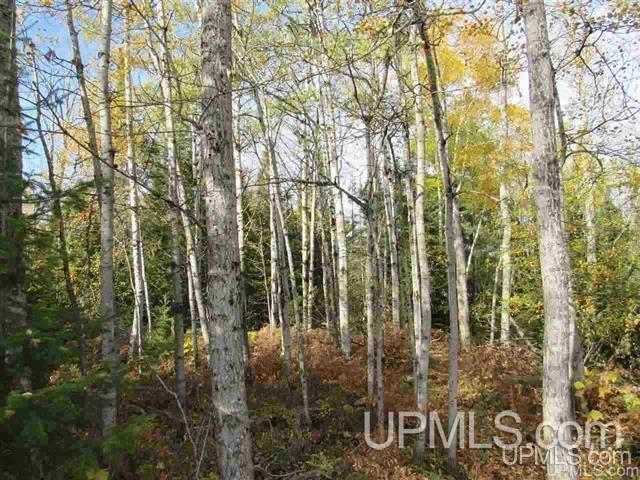 15781 Skanee Road Lanse, MI 49946 - Photo 11 of 17 Gallery Image 11