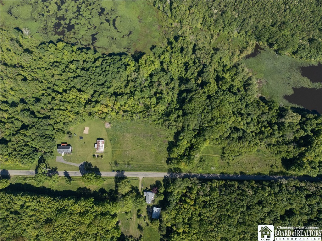 5320 Ellicott Road Pomfret, NY 14716 - Photo 13 of 49