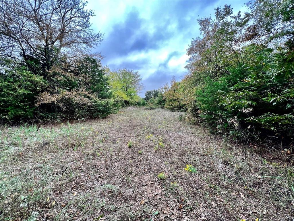 Tbd Tbd Cr-2117 Gainesville, TX 76240 - Photo 12 of 35 a view of a yard with plants and trees