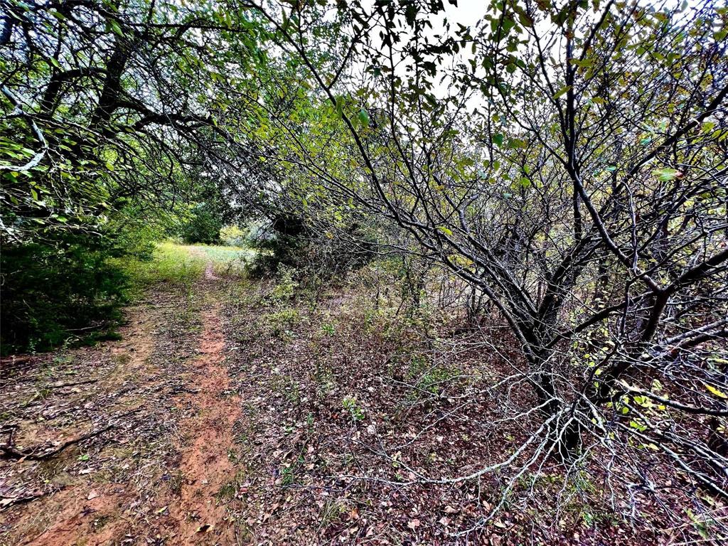 Tbd Tbd Cr-2117 Gainesville, TX 76240 - Photo 13 of 35 a backyard of a house with lots of green space