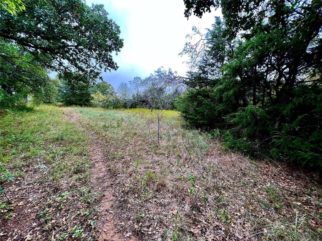 Tbd Tbd Cr-2117 Gainesville, TX 76240 - Photo 14 of 35 a view of a yard with a tree