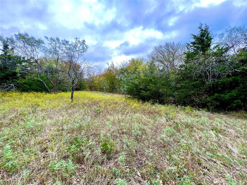 Tbd Tbd Cr-2117 Gainesville, TX 76240 - Photo 15 of 35 a view of an outdoor space and a yard