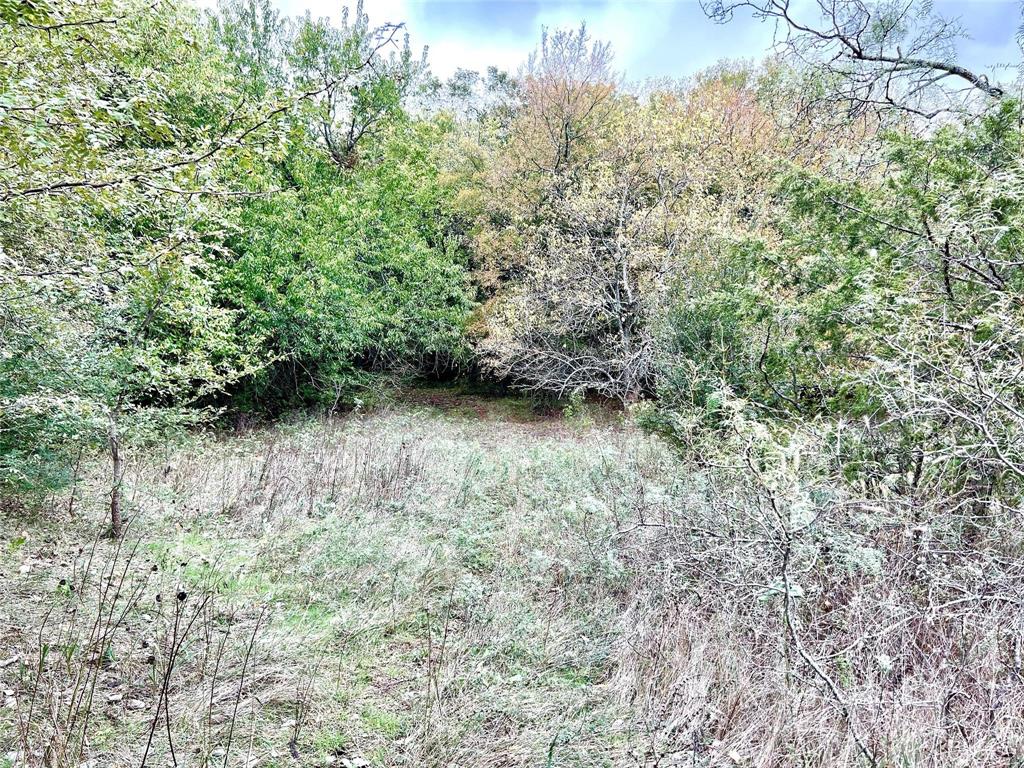 Tbd Tbd Cr-2117 Gainesville, TX 76240 - Photo 17 of 35 a view of a yard with a tree