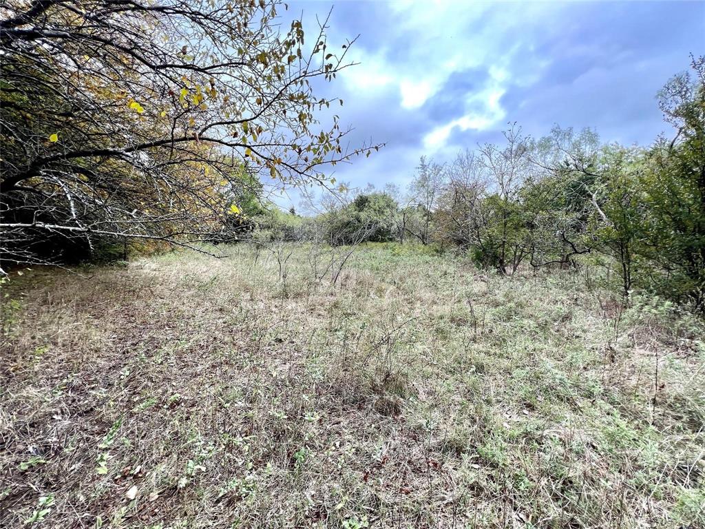 Tbd Tbd Cr-2117 Gainesville, TX 76240 - Photo 19 of 35 a view of a yard with trees