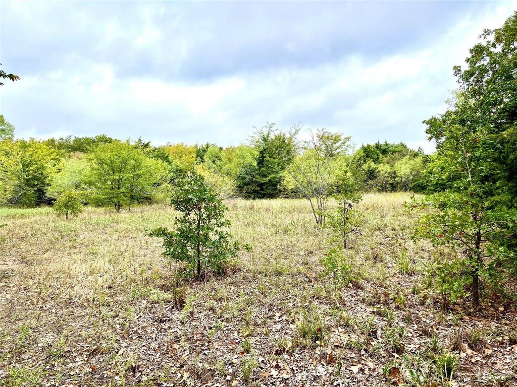 Tbd Tbd Cr-2117 Gainesville, TX 76240 - Photo 25 of 35 a view of lake view and tree