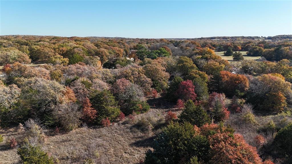Tbd Tbd Cr-2117 Gainesville, TX 76240 - Photo 27 of 35 an aerial view of mountain and tree