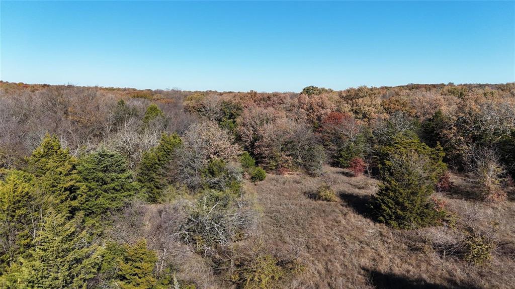 Tbd Tbd Cr-2117 Gainesville, TX 76240 - Photo 32 of 35 a view of a dry yard