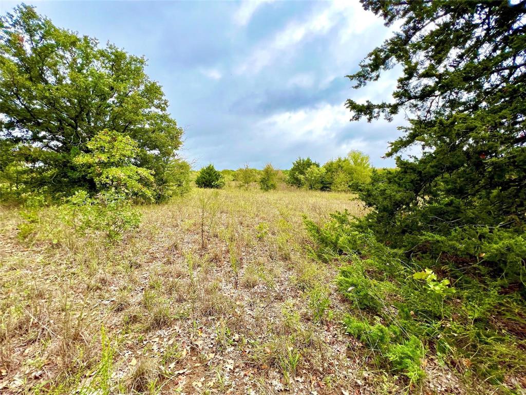 Tbd Tbd Cr-2117 Gainesville, TX 76240 - Photo 6 of 35 a view of a yard with plants and tree
