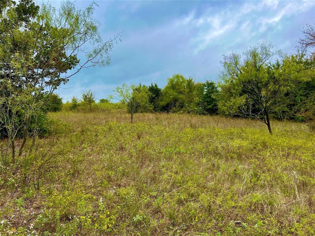 Tbd Tbd Cr-2117 Gainesville, TX 76240 - Photo 7 of 35