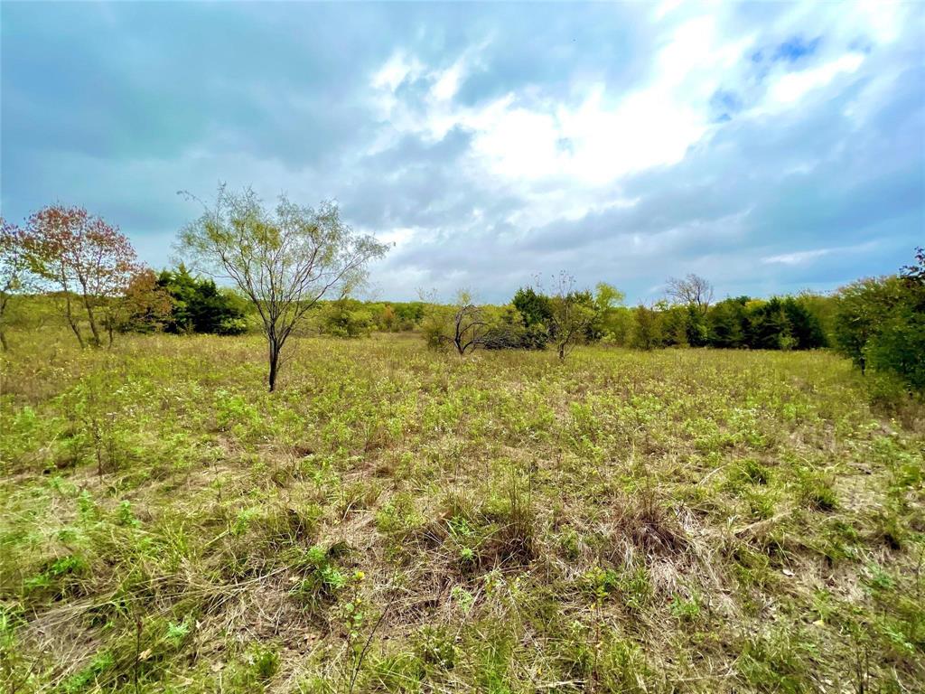 Tbd Tbd Cr-2117 Gainesville, TX 76240 - Photo 9 of 35